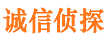 江达市侦探公司